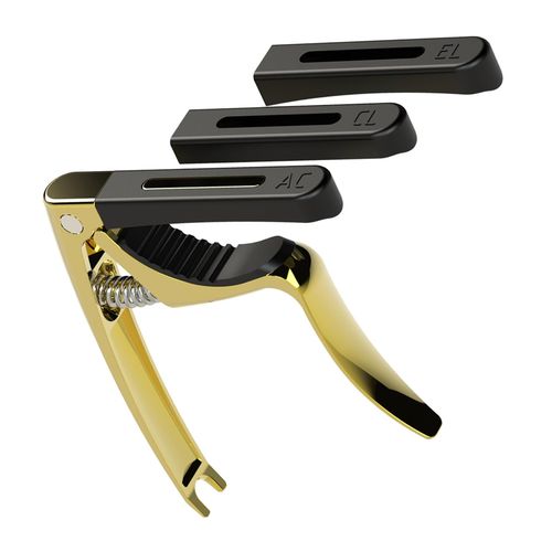 Guitar shop parts store