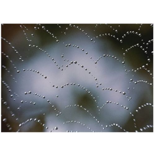 product_image_name-Generic-تابلو مناظر طبيعية 30 سم × 20 سم-1