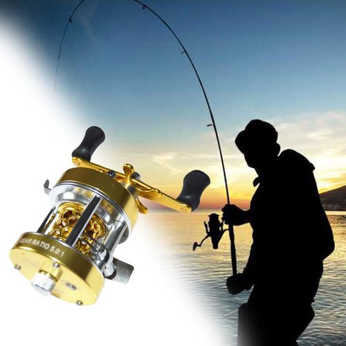 Generic W300L/W300R Baitcasting Reel Fish Line Reel Star Drag Gold L @ Best  Price Online