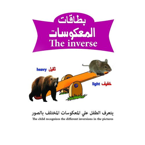 Buy Flash Cards Inverses in Egypt