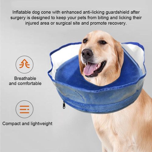 Donut cone for dogs shop