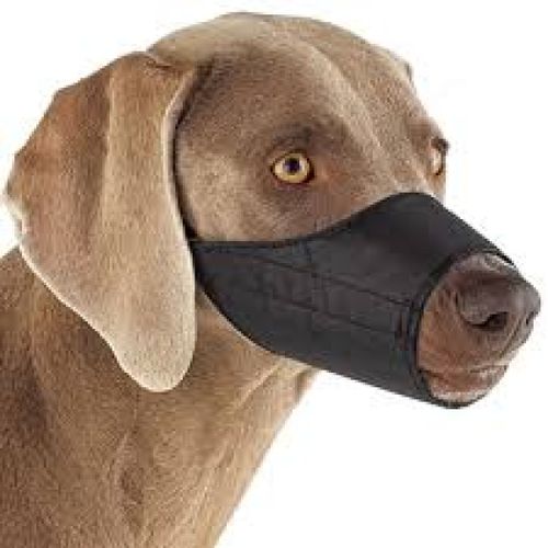 dog muzzle size 5