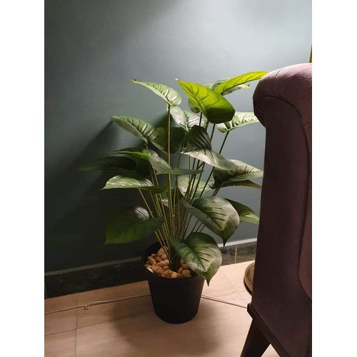 product_image_name-Generic-شجرة صناعية بوت اسود 70 سم للديكور-1