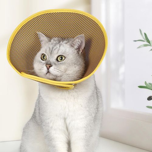 Generic Cat Cone Soft Portable Anti Scratch Cat Recovery Cones For