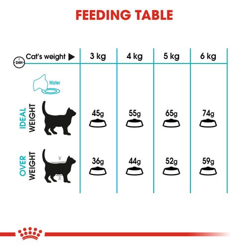 product_image_name-Royal Canin-رعاية بولية للقطط 4 كجم-3