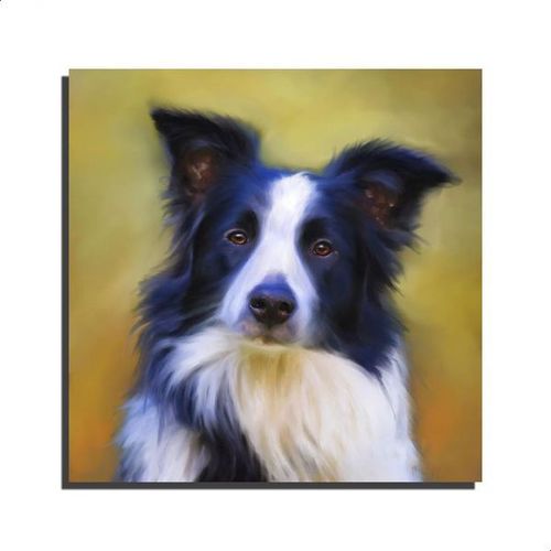 product_image_name-Generic-تابلو مودرن ملون بحجم 40x40 سم-1