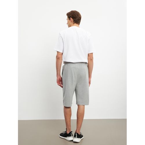 product_image_name-LC Waikiki-Standard Fit Men's Shorts-2