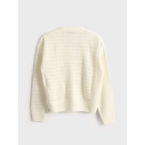 product_image_name-LC Waikiki-كارديجان محبوك للسيدات بمقاس واسع بأكمام طويلة وياقة V مع ثقوب-4