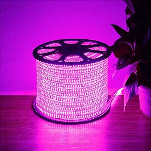 اشتري Pink Light Led Strip - 5 Meter في مصر