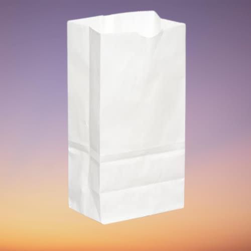 White paper bags no handles shop