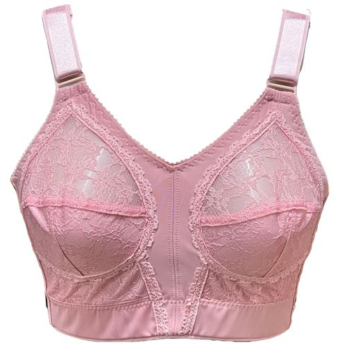 Lasso Lassen Dantel Bra For Women price in Egypt, Jumia Egypt