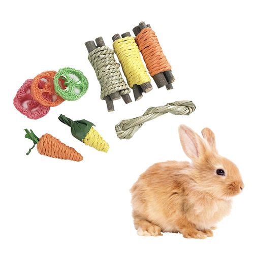 Rabbit chew best sale toys for teeth