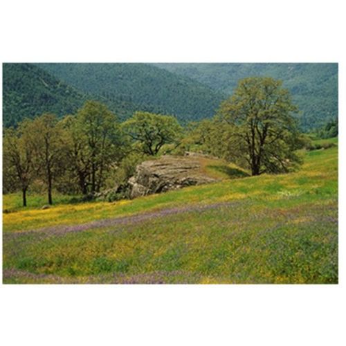 product_image_name-Generic-تابلوه المناظر الطبيعية 34 سم × 24 سم-1