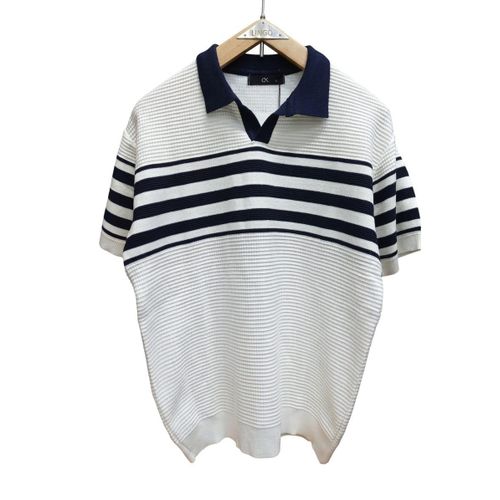 Generic Striped Polo Shirt