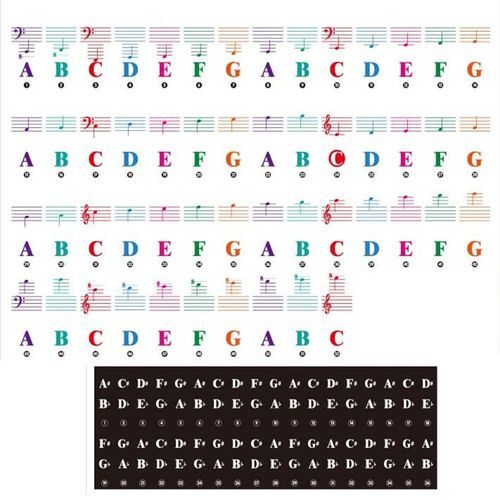 Piano Stickers for Keys Removable for Kids, Color Piano Keyboard Stickers  88/61/54/49/37 Key for Beginners with Bigger Letters, Transparent Note