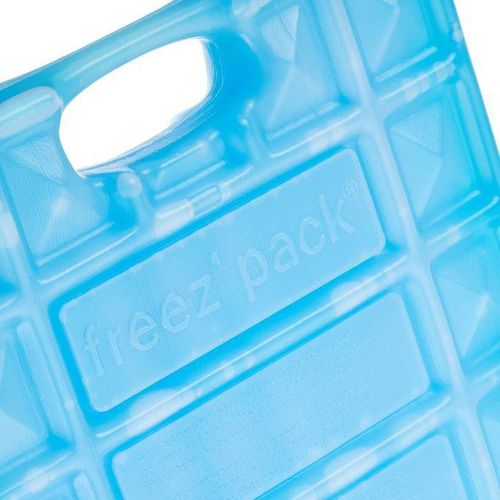 product_image_name-Campingaz-حزمة الثلج كامبين جاز، حزمة الجلي القابلة لإعادة الاستخدام لتبريد الطعام - حزمة الثلج لتبريد 30 متر-2