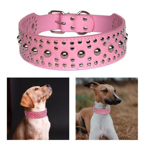 Best large breed dog collars hot sale