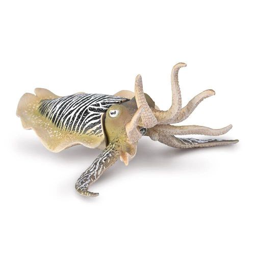 Collecta الحبار الشائع - 80009