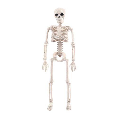 Buy Flexible Halloween Skeleton Model Skeleto Anatomy Learning Movable in Egypt