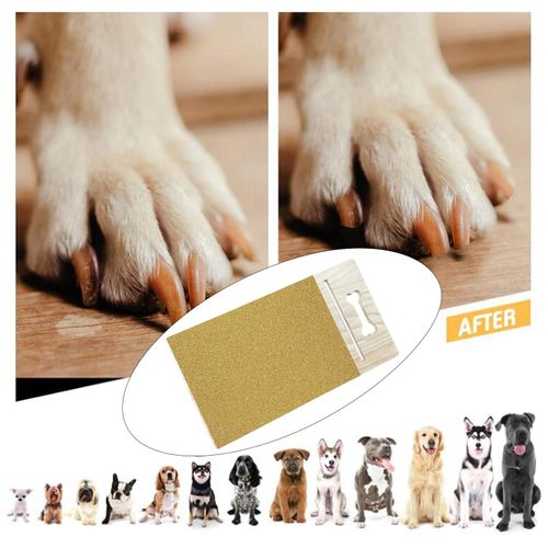 Dog Scratch Pad Nail Clipper No Hurt to Dog Nail Dog Nail File Scratch  Board for