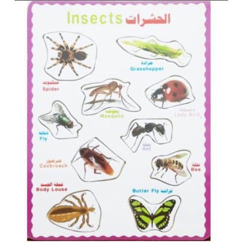 Generic Puzzle sets and animals