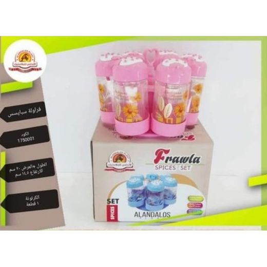 6 Pieces Spice Set