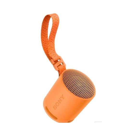 Sony SRS-XB100 speaker -Orange