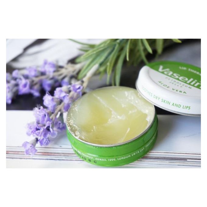 Lip Therapy Petroleum Jelly Aloe Vera 20 G Vaseline Jumia Egypt
