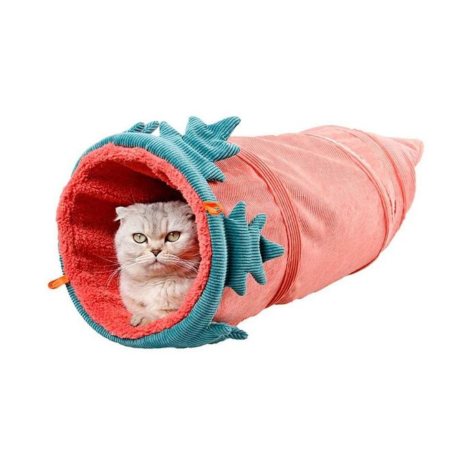 cat fun run tunnel