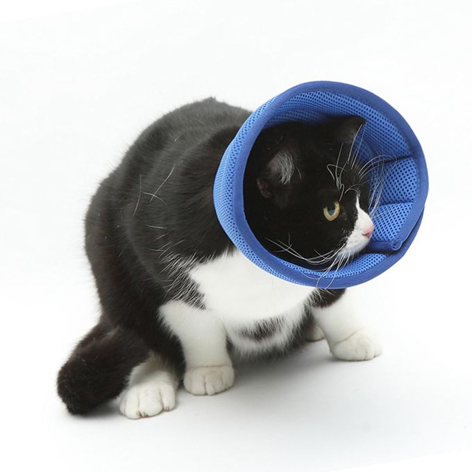 Kitty Prevent stop Licking Anti Bite Lick Wound 