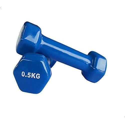 Vinyl Hexagonal Dumbbell Set 0.5kg (2 Pieces) - Multi-Color for Fitness & Aerobics