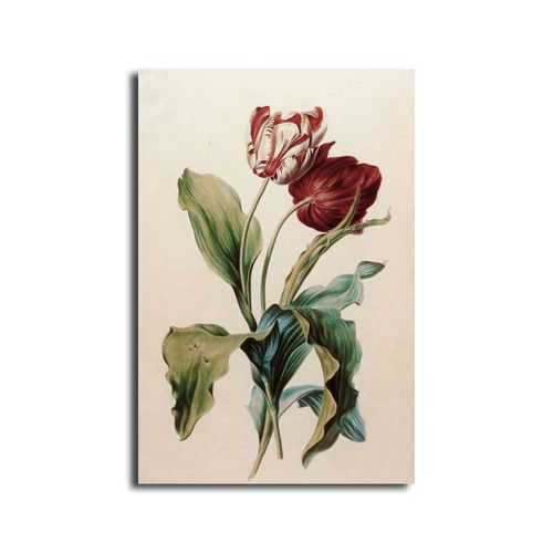 Modern Tableau - Multicolor - 45 X 30 Cm