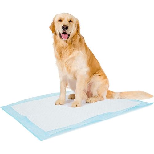 Training Pads for Dogs (90 by 60cm) - 10 Pieces