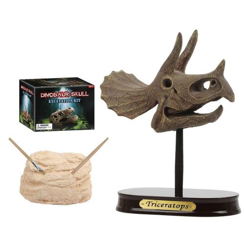 Triceratops Dinosaur Skull Excavation Kit - D7068