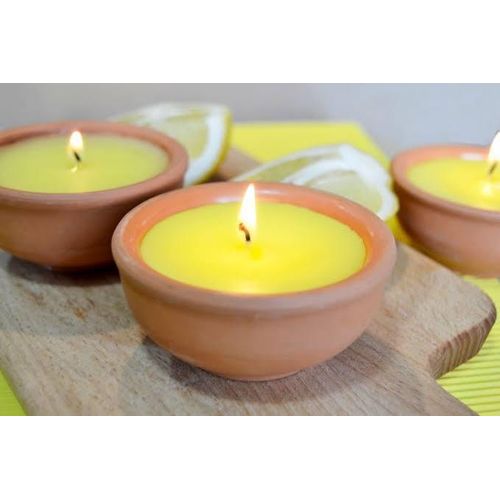 NATURAL INSECT REPELLENT