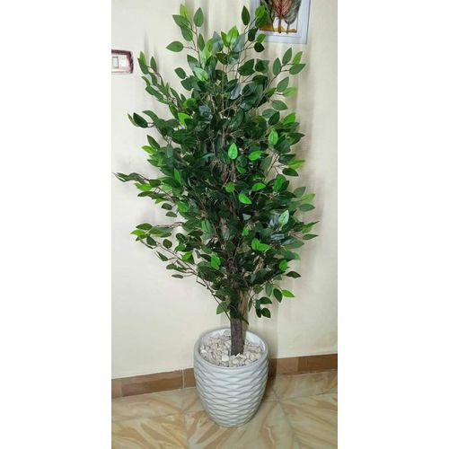Dense peach tree, 150 cm
