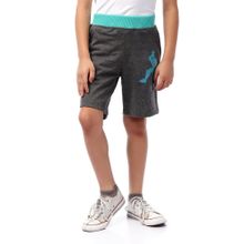 Comfy With Front Print Shorts - Heather Dark Grey &amp; Mint Green