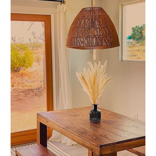 عشب بامباس المجفف الأصلي (10)